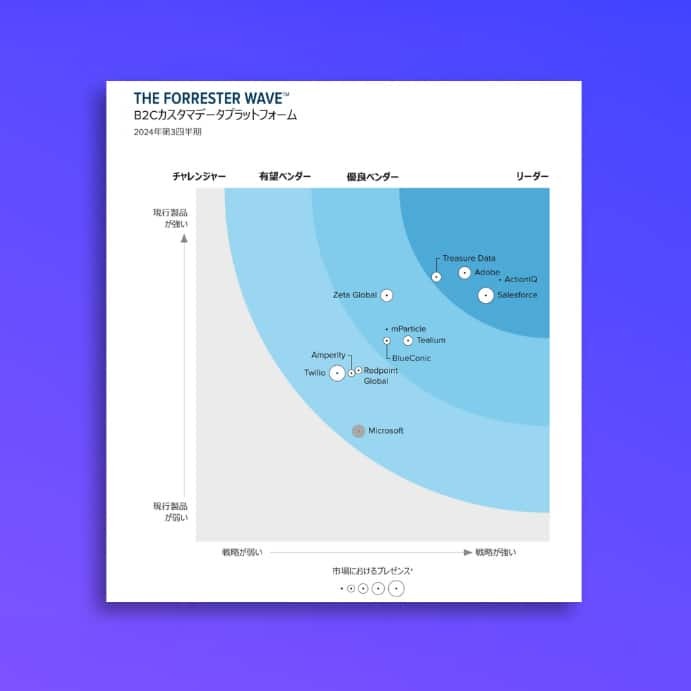 THE FORRESTER Wave™: B2Cカスタマーデータプラットフォーム 2024年第3四半期