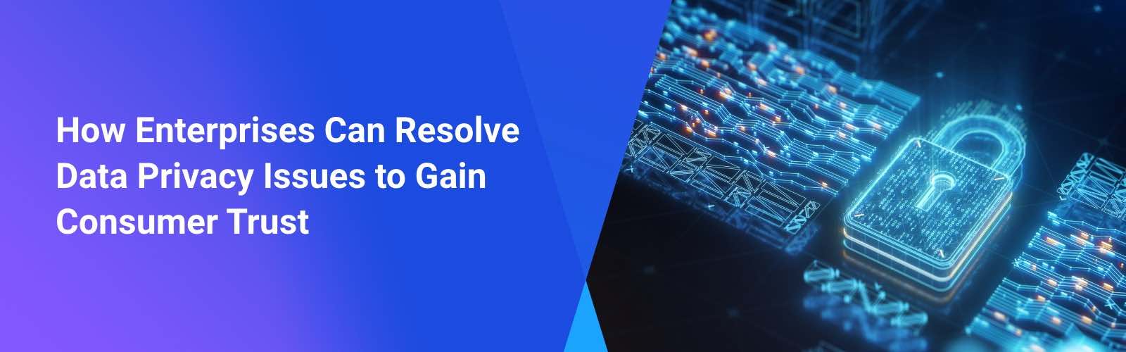 How Enterprises Can Resolve Data Privacy Issues to Gain Consumer Trust